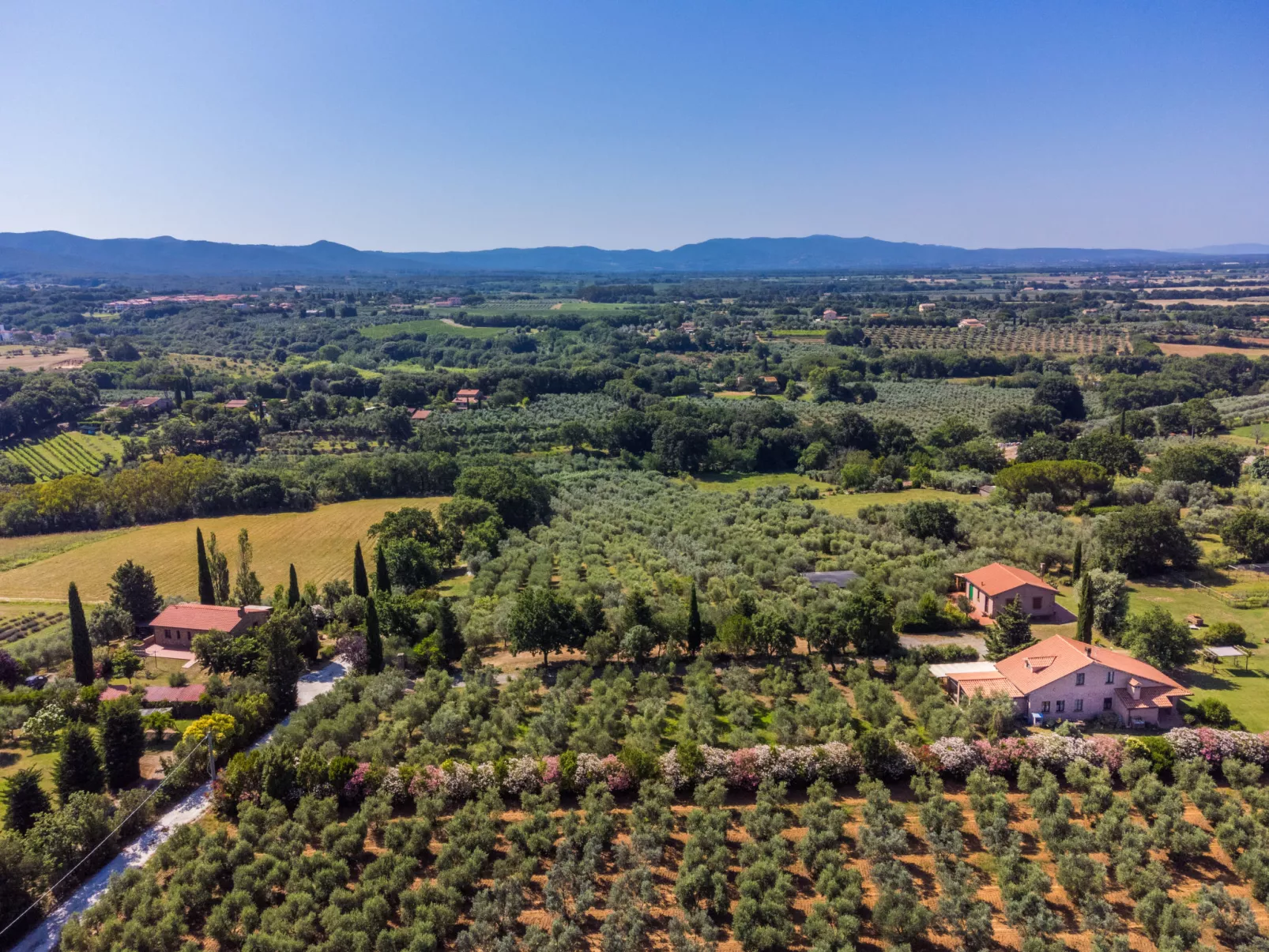 Tramontana-Dehors