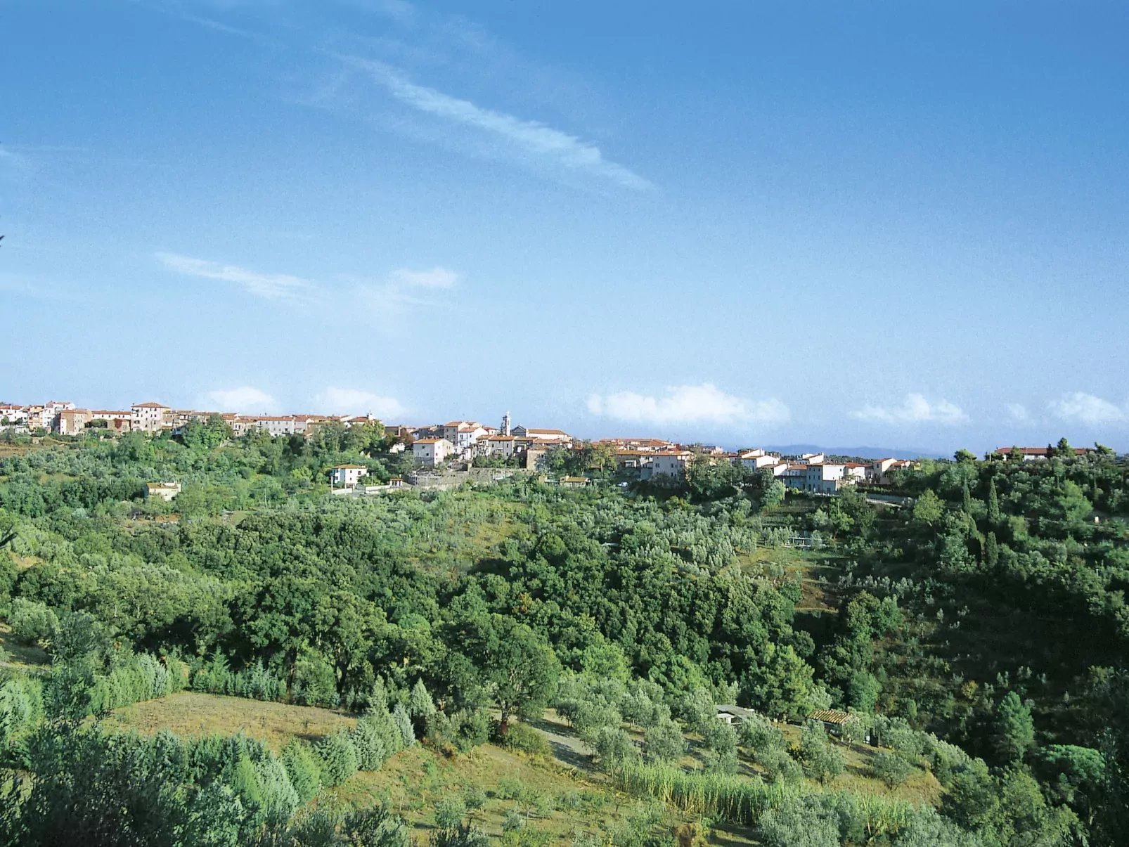 Il Felciaione-Area