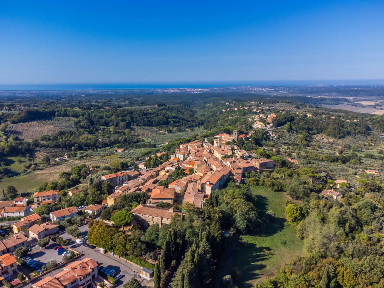 Angolino di Borgo-Area