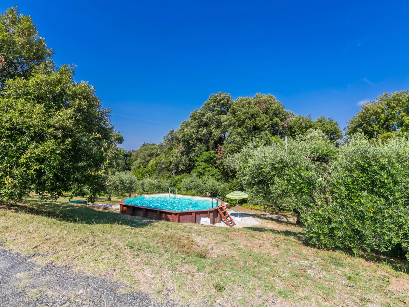 Podere gli Olivi-Outside
