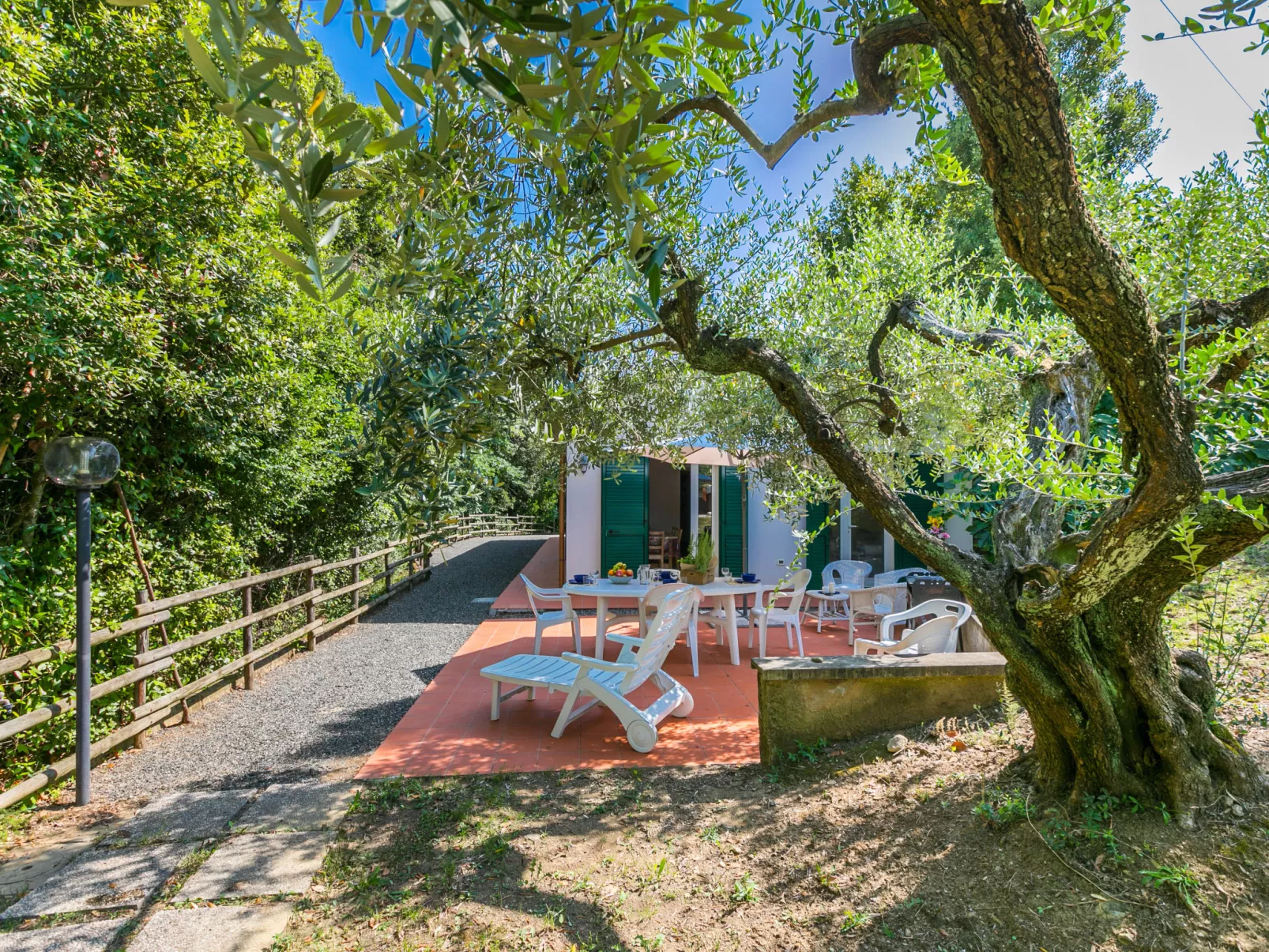 Podere gli Olivi-Outside