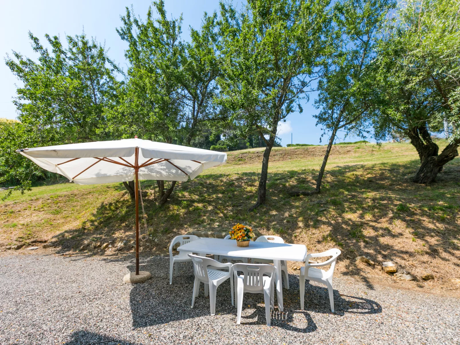 Podere La Madonnina-Draußen