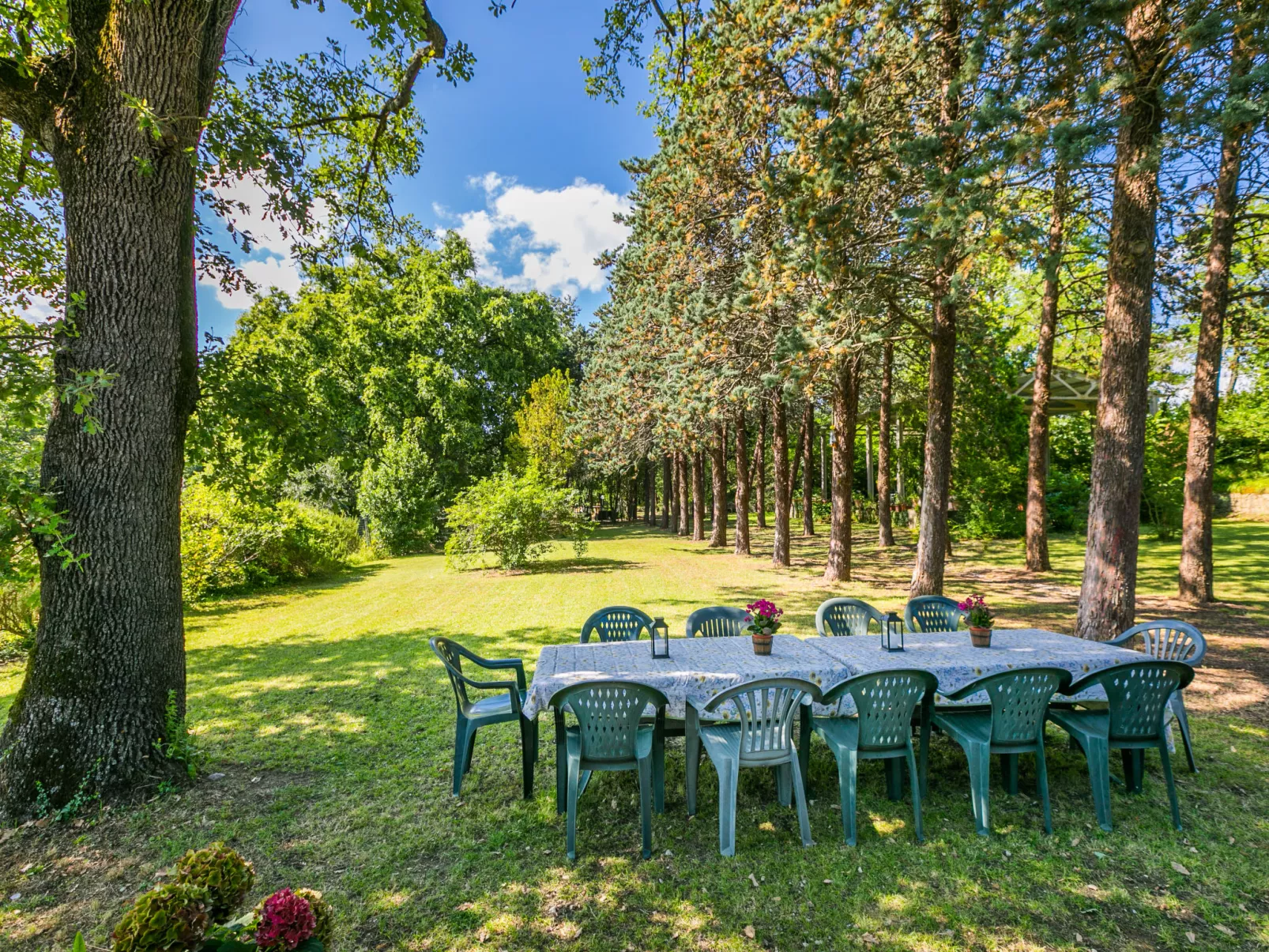Villa Alari-Dehors