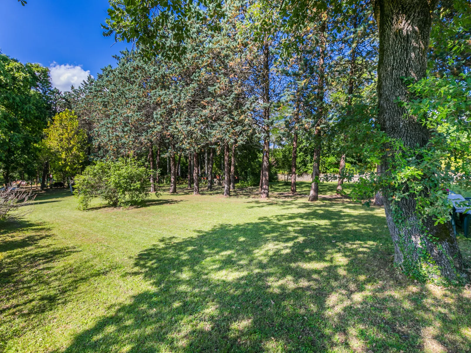 Villa Alari-Dehors