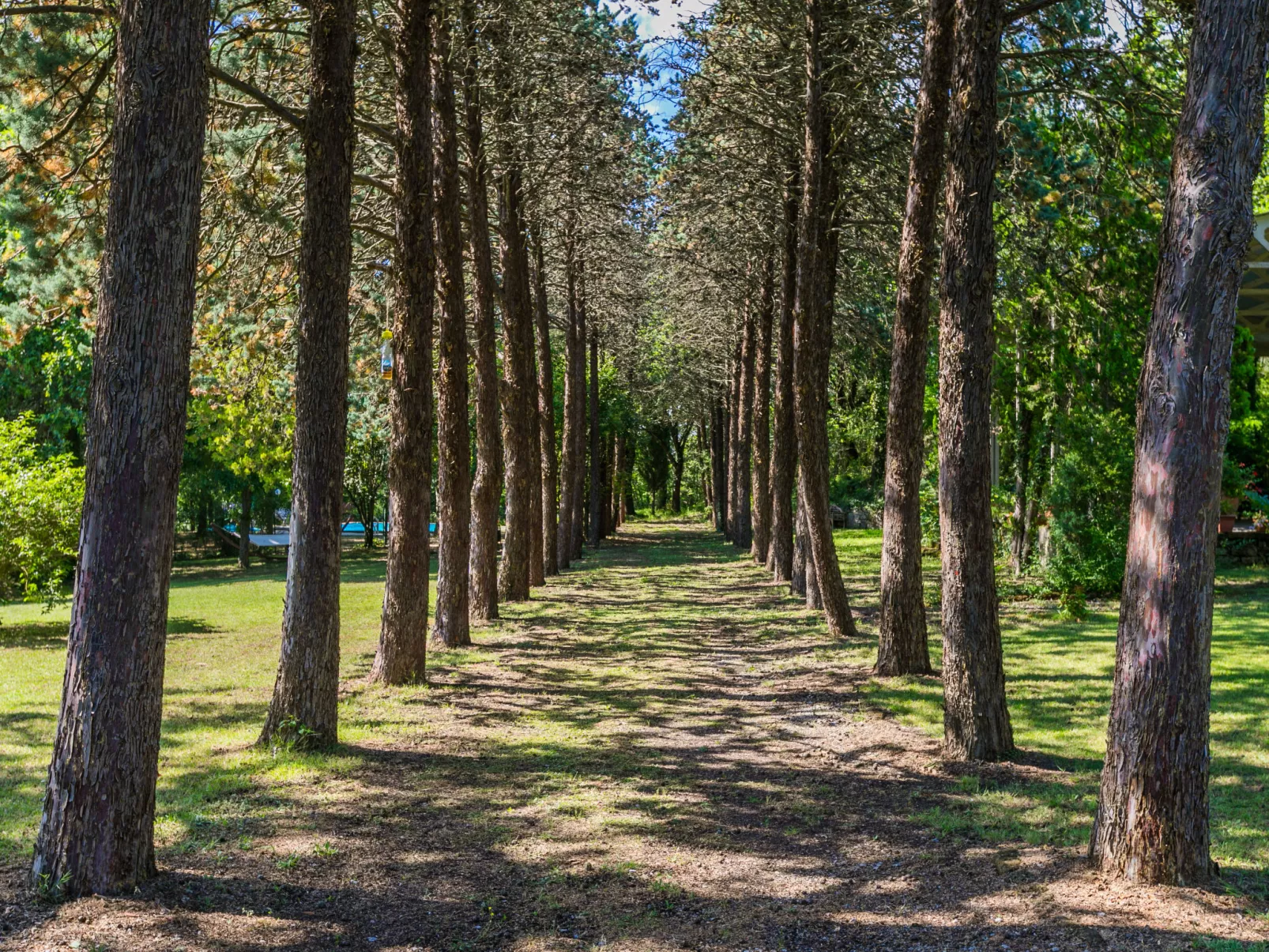 Villa Alari-Dehors