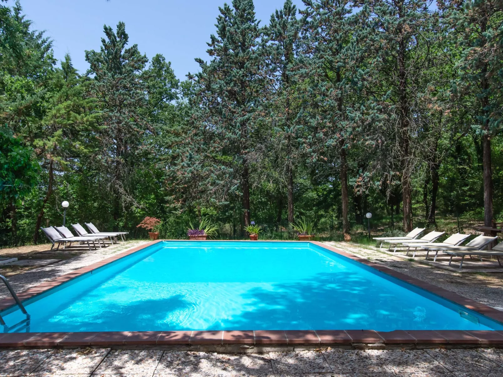 Villa Alari-Dehors