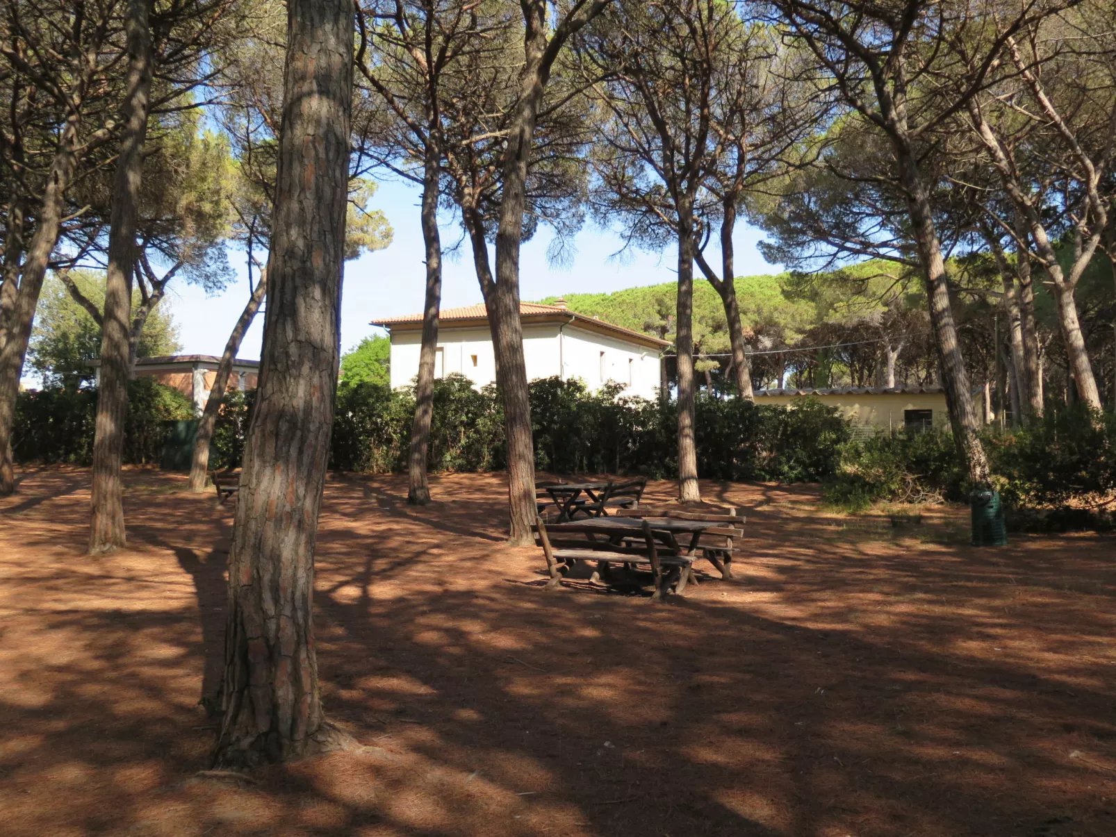 Palazzeta III-Umgebung