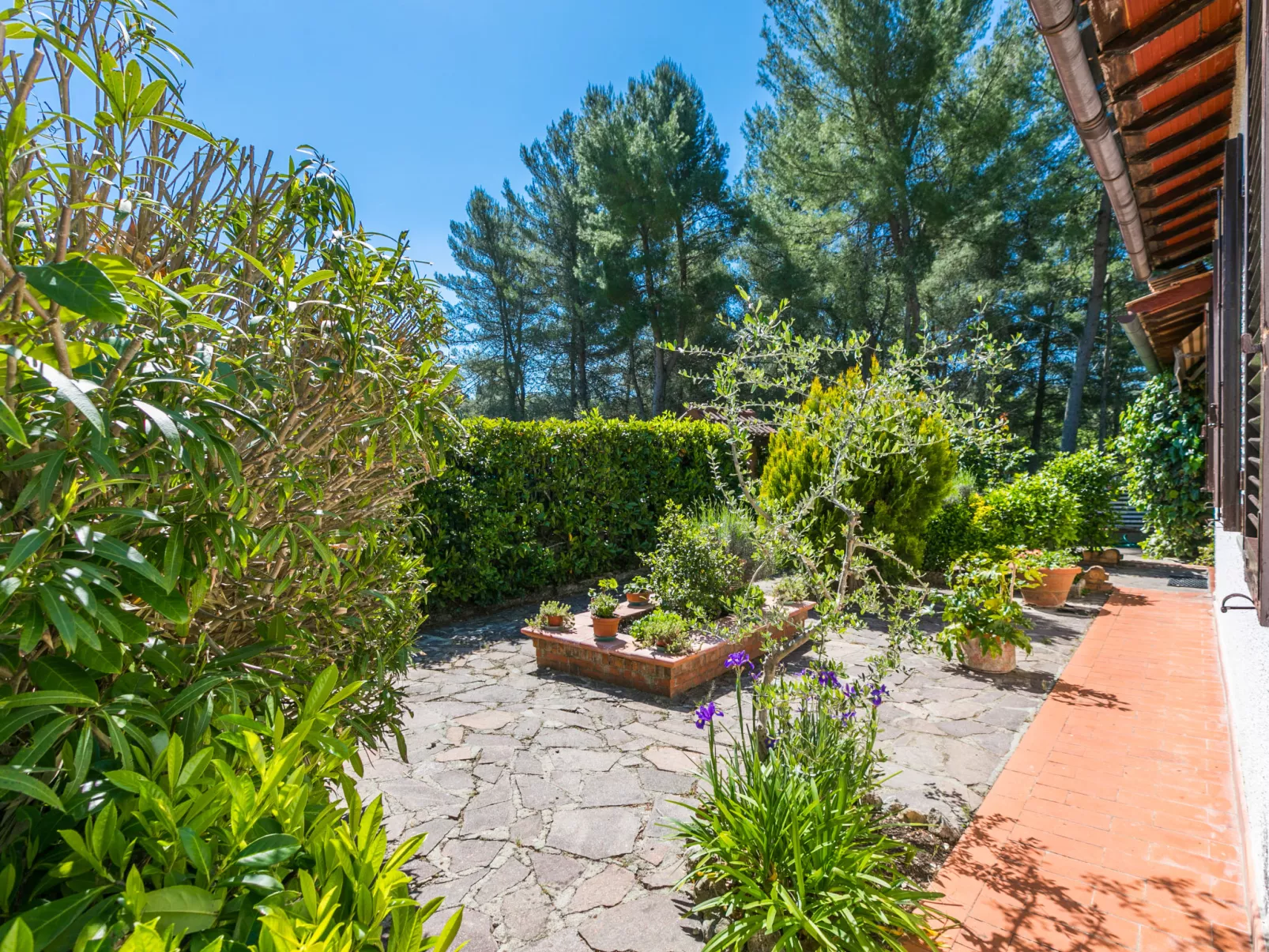 Villa Francesca-Outside