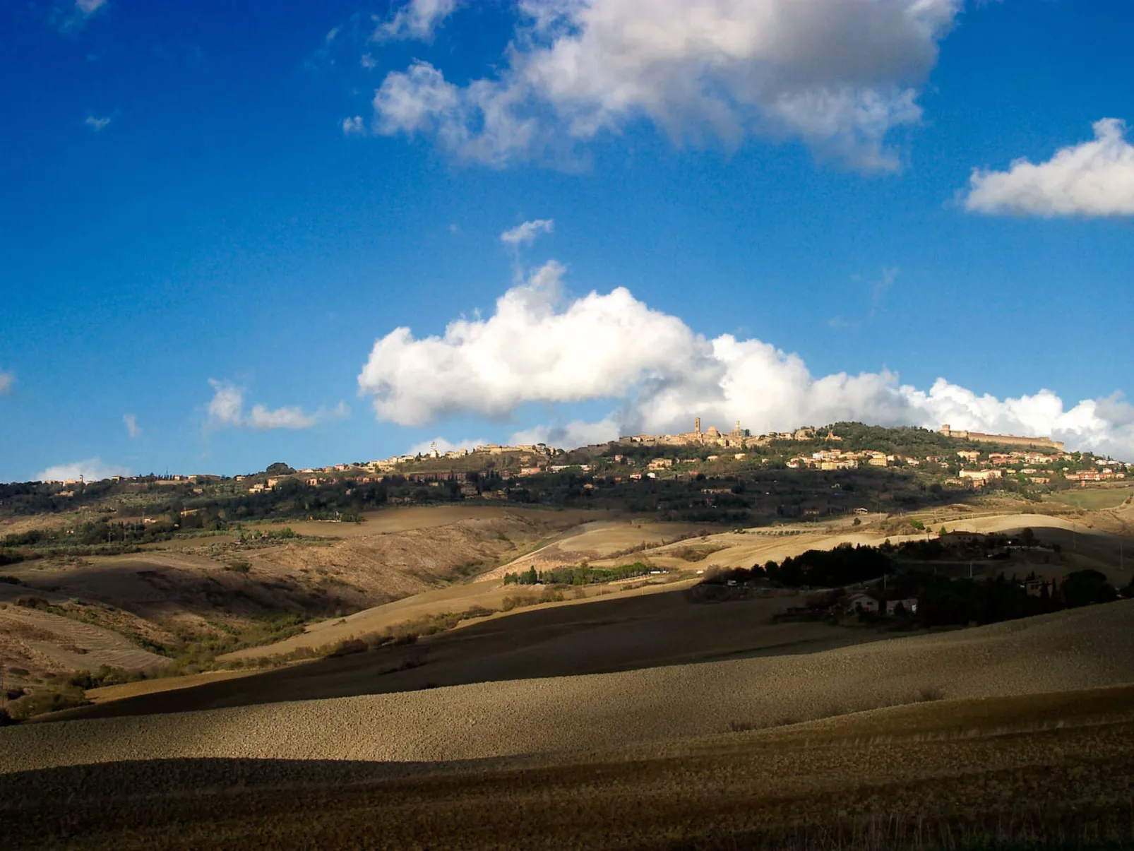 Leccio-Area