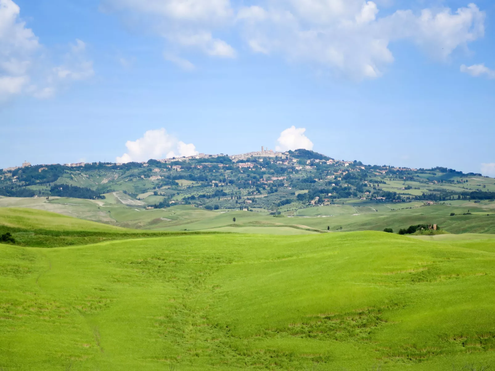 Leccio-Area