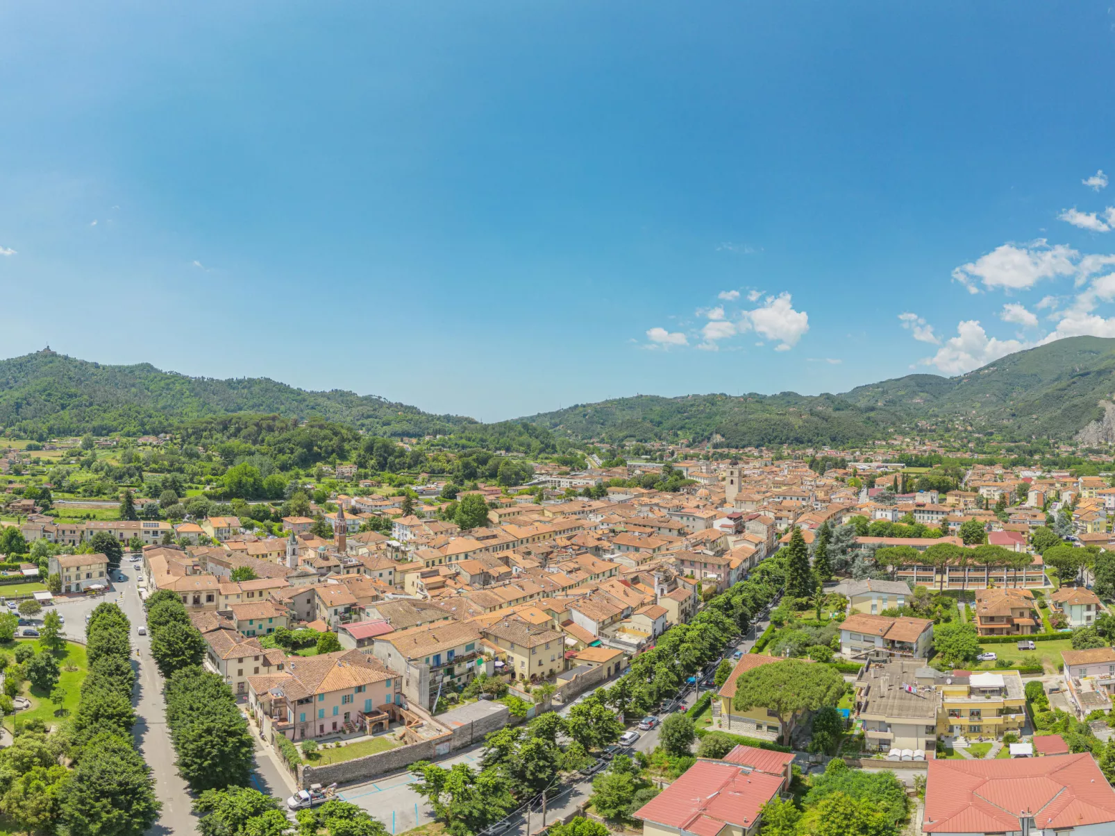 Oleandro-Area