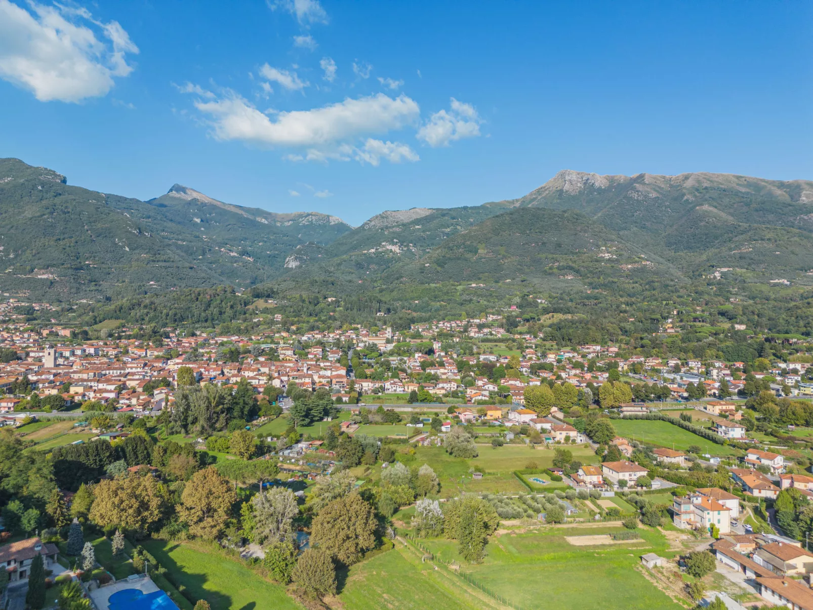 Oleandro-Area