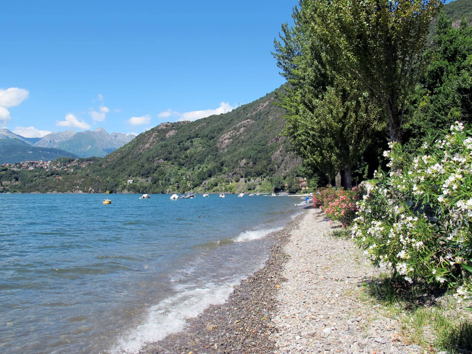 Vento Errante-Area