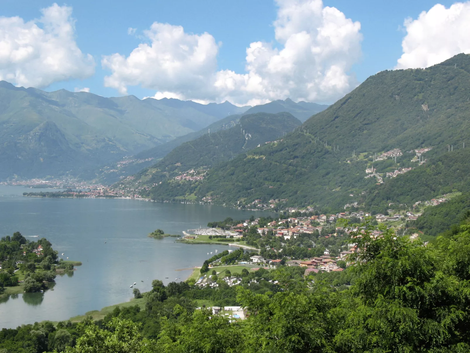 Leonardo-Area