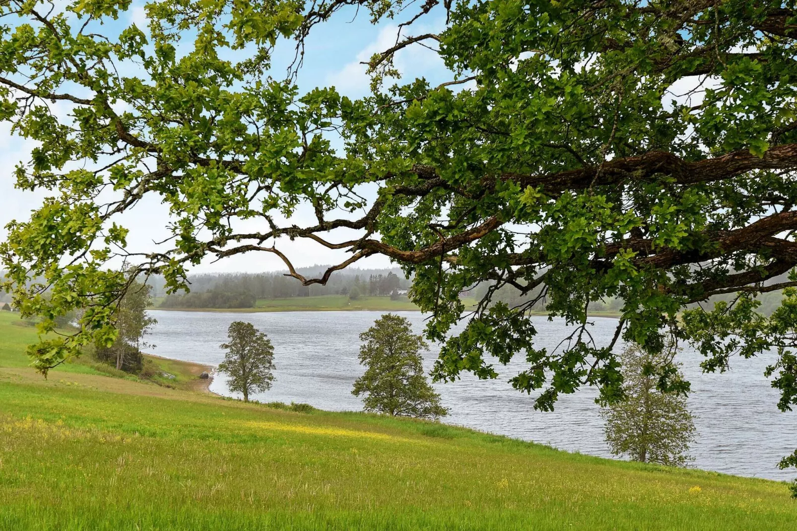 4 person holiday home in Frändefors-Not tagged