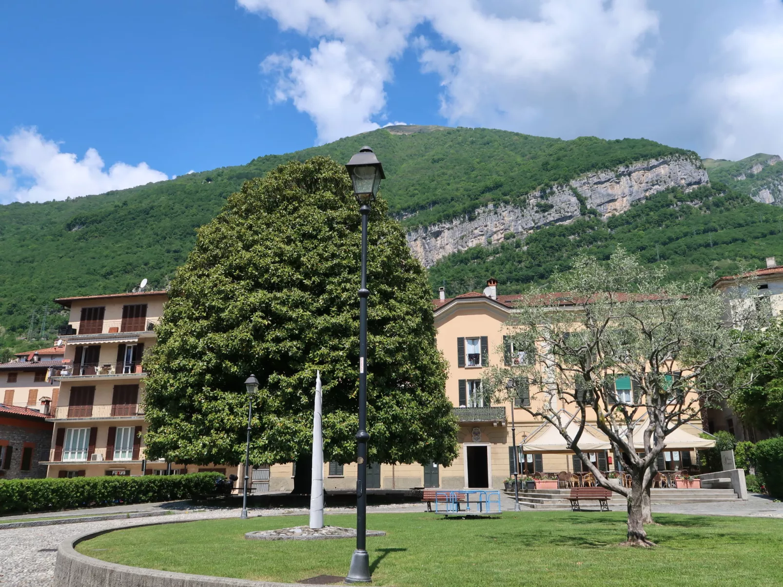 Magnolia-Area