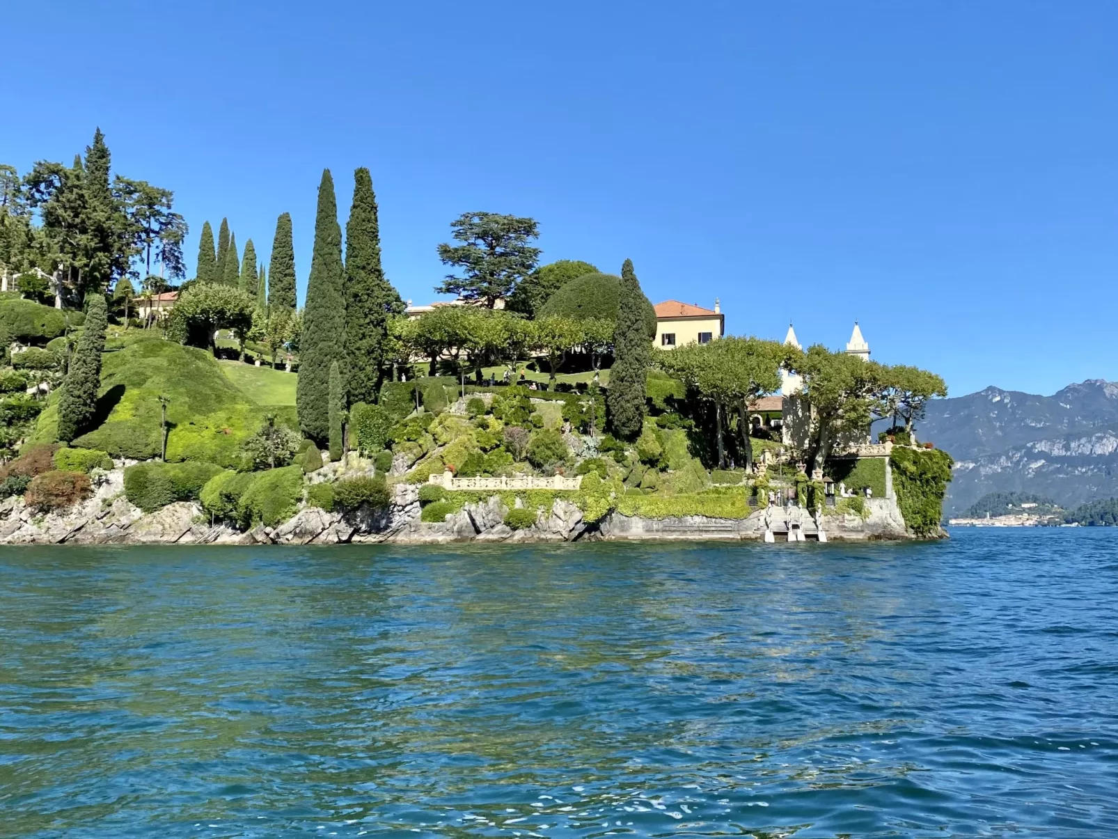 Magnolia-Area