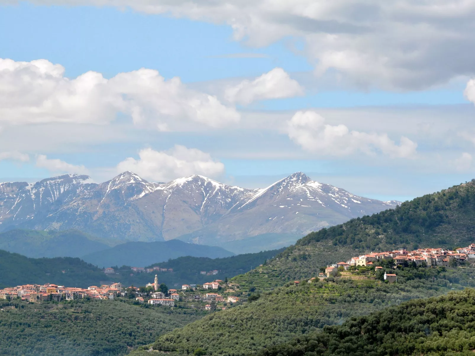 Ulivo-Area