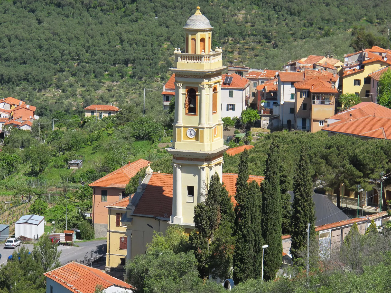 Ulivo-Area