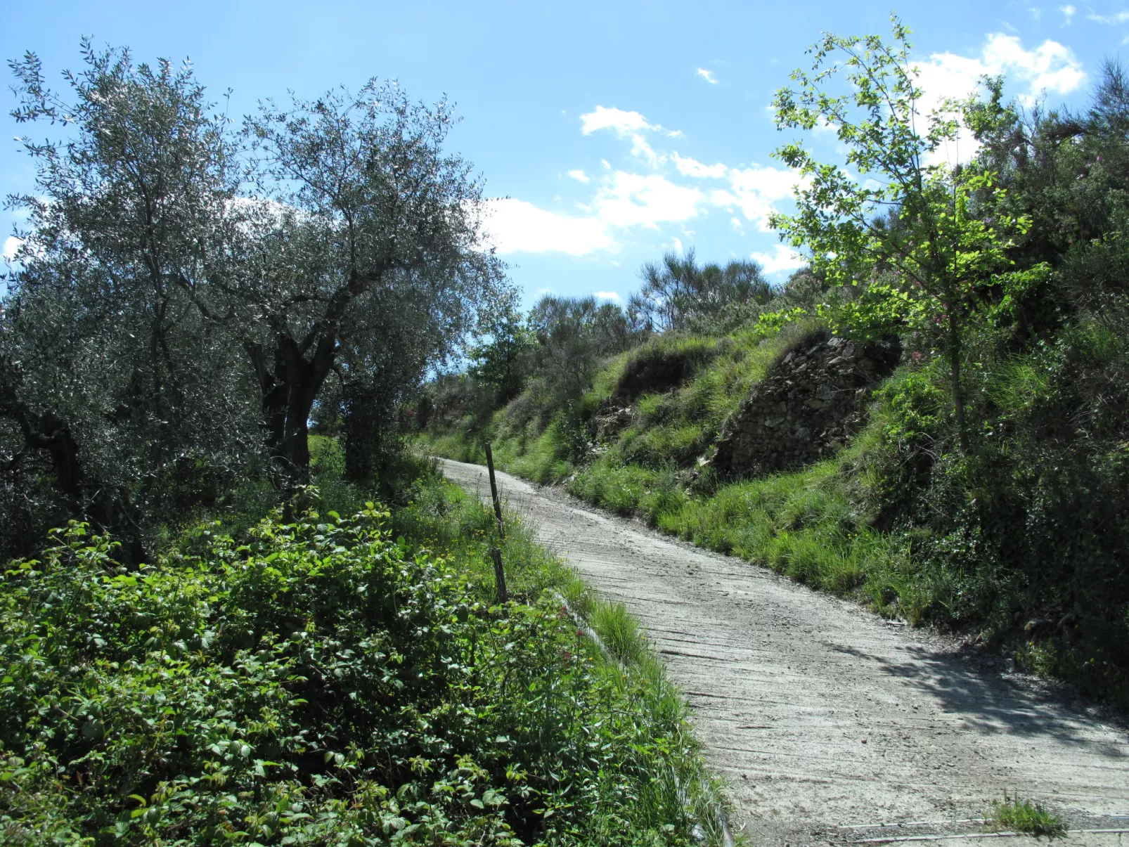 Azzurra (PTB145)-Outside