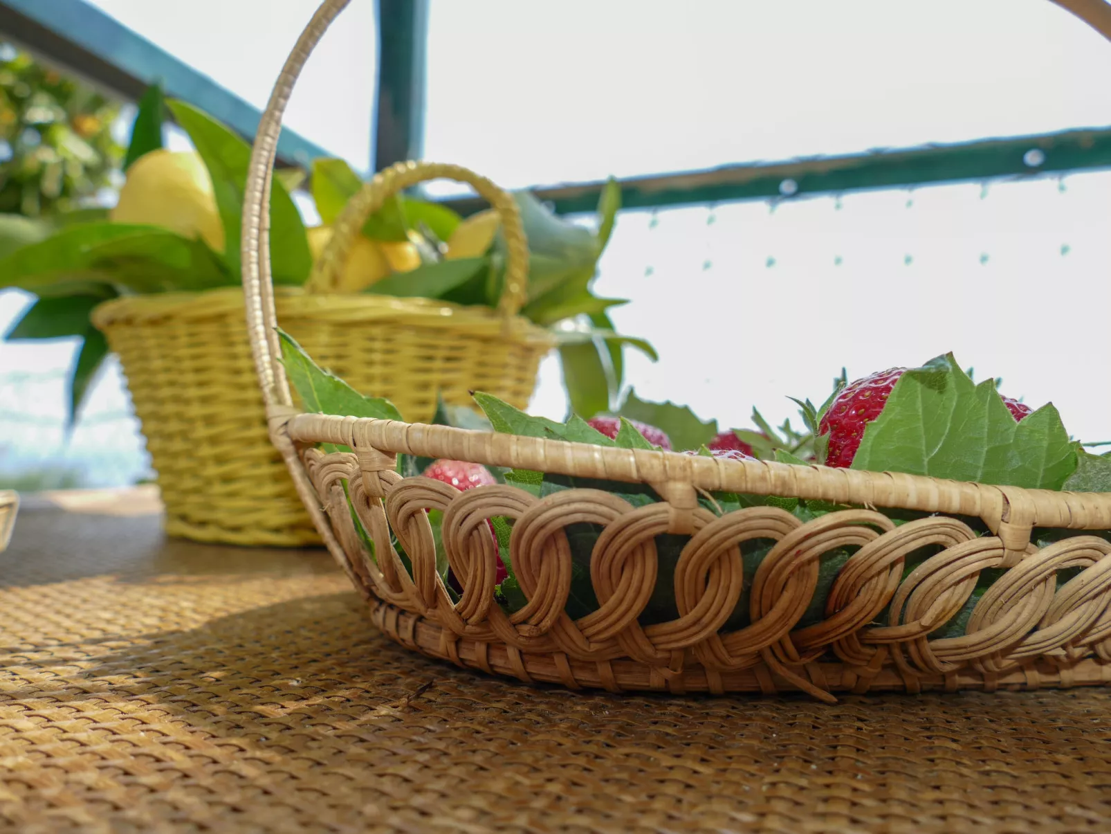 Casetta in campagna-Inside