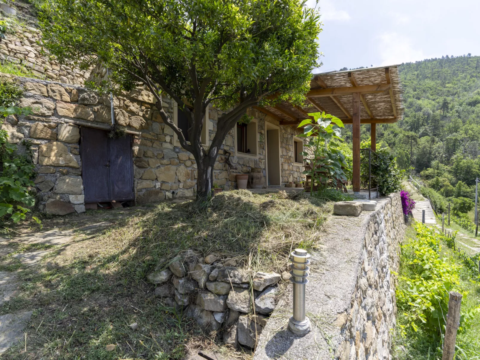 Il Mandarino-Outside