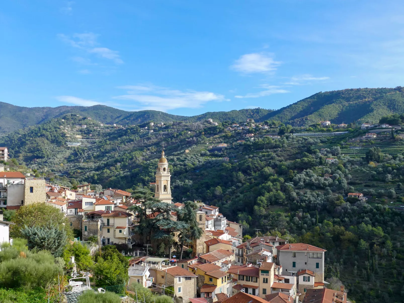 Il Mandarino-Area