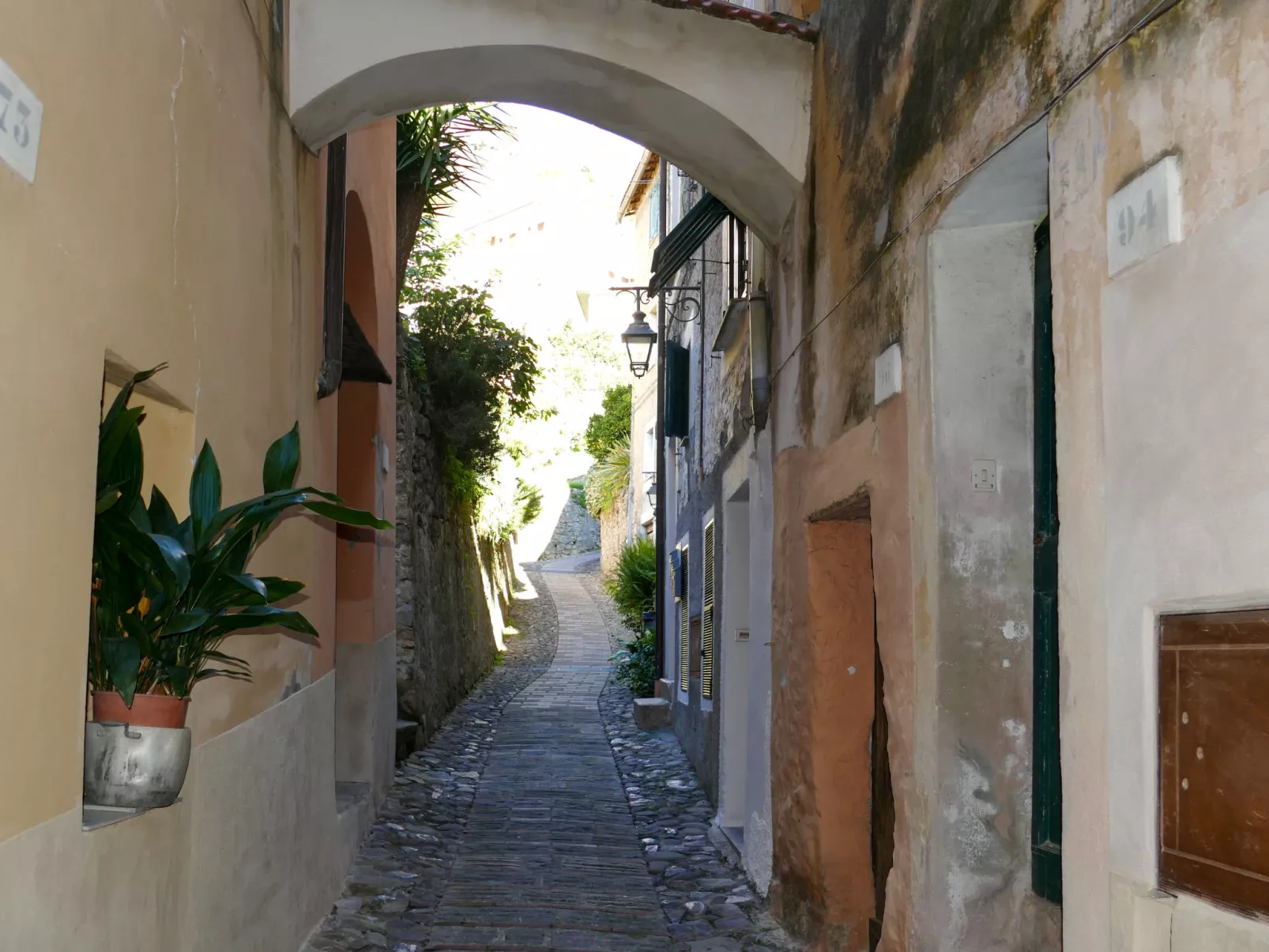 Il Mandarino-Area