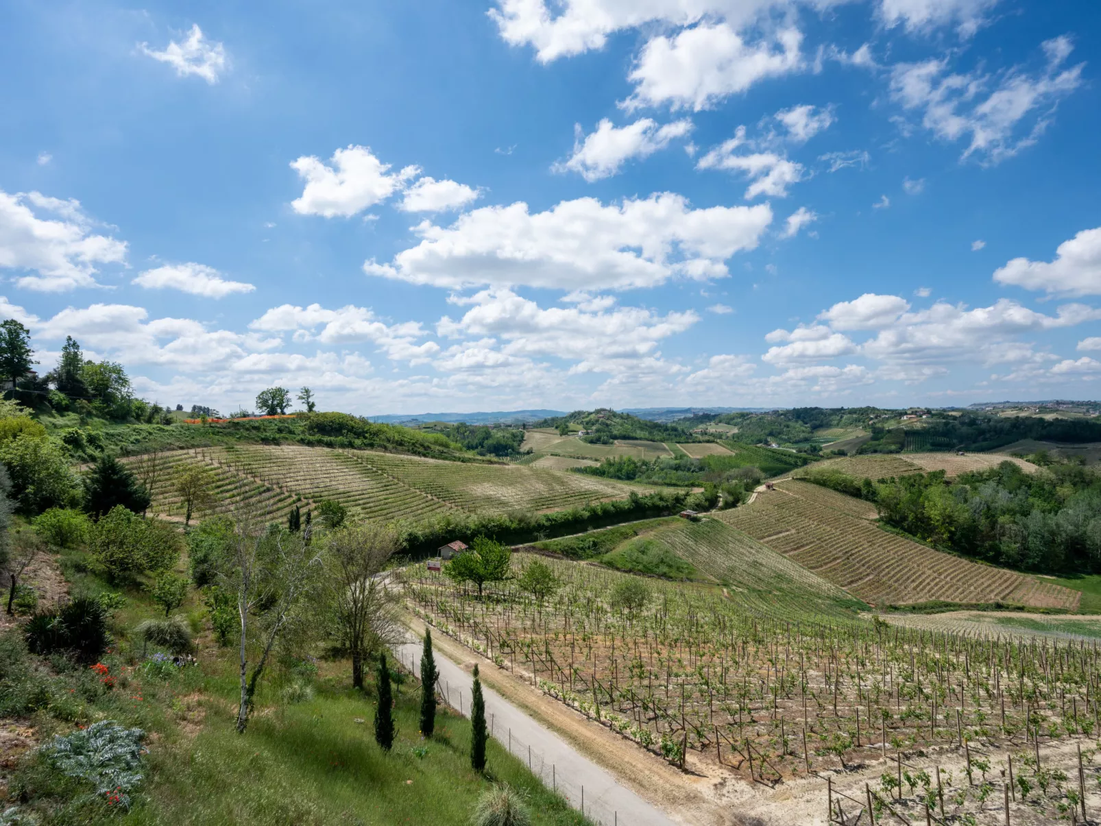 Agriturismo Colle di San Michele