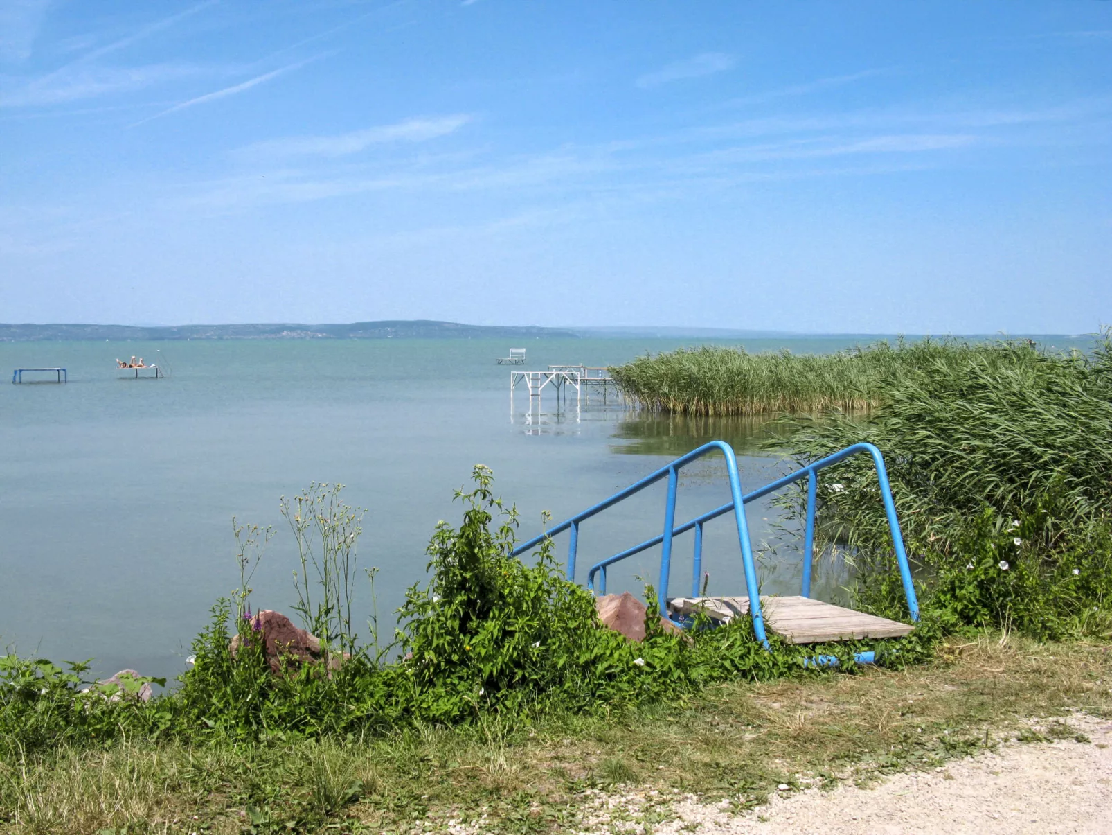 Particia-Area