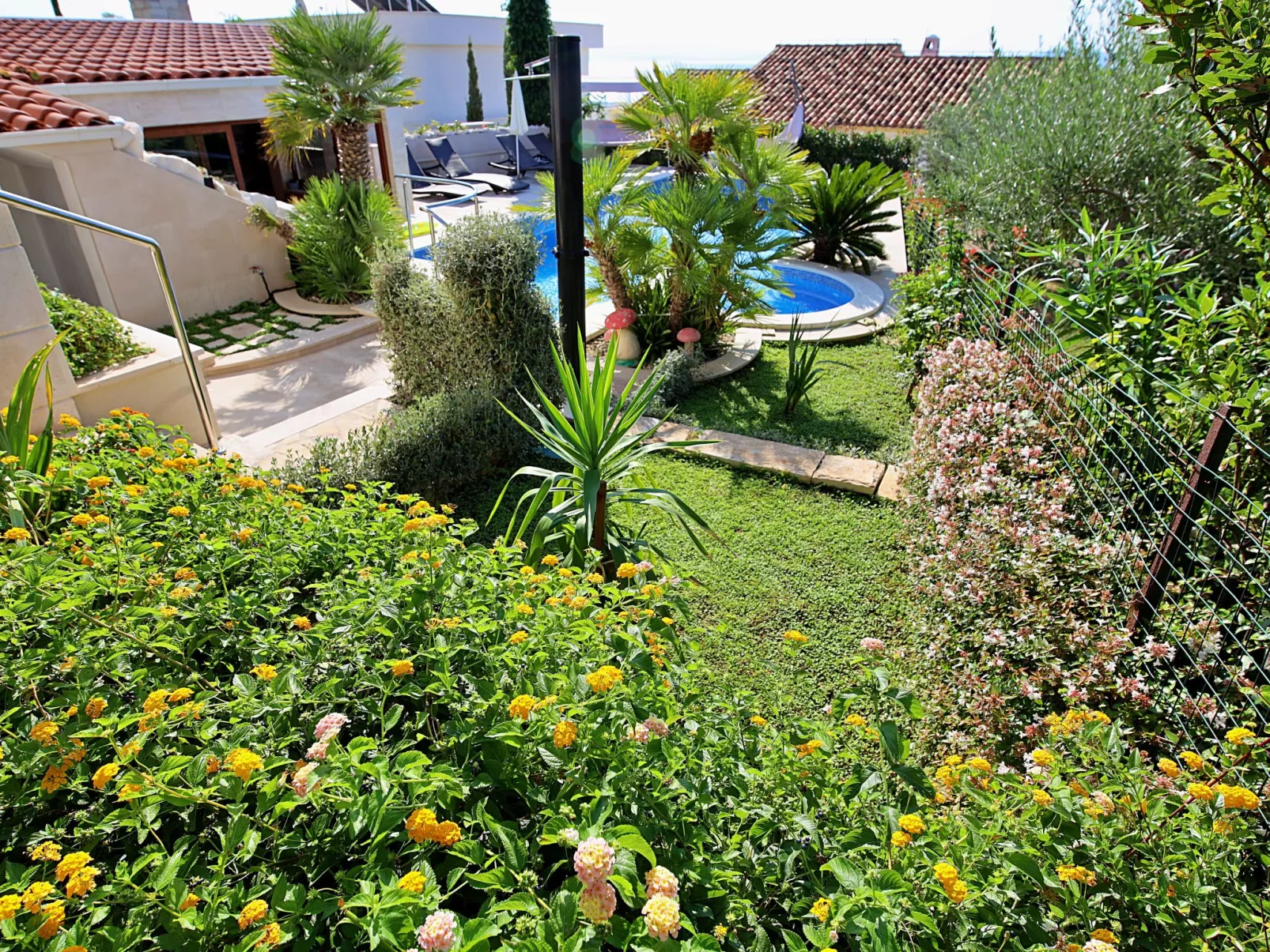Villa Andjelka-Outside