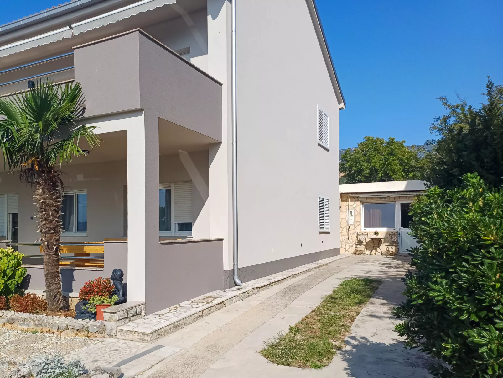 Šegulja-Outside