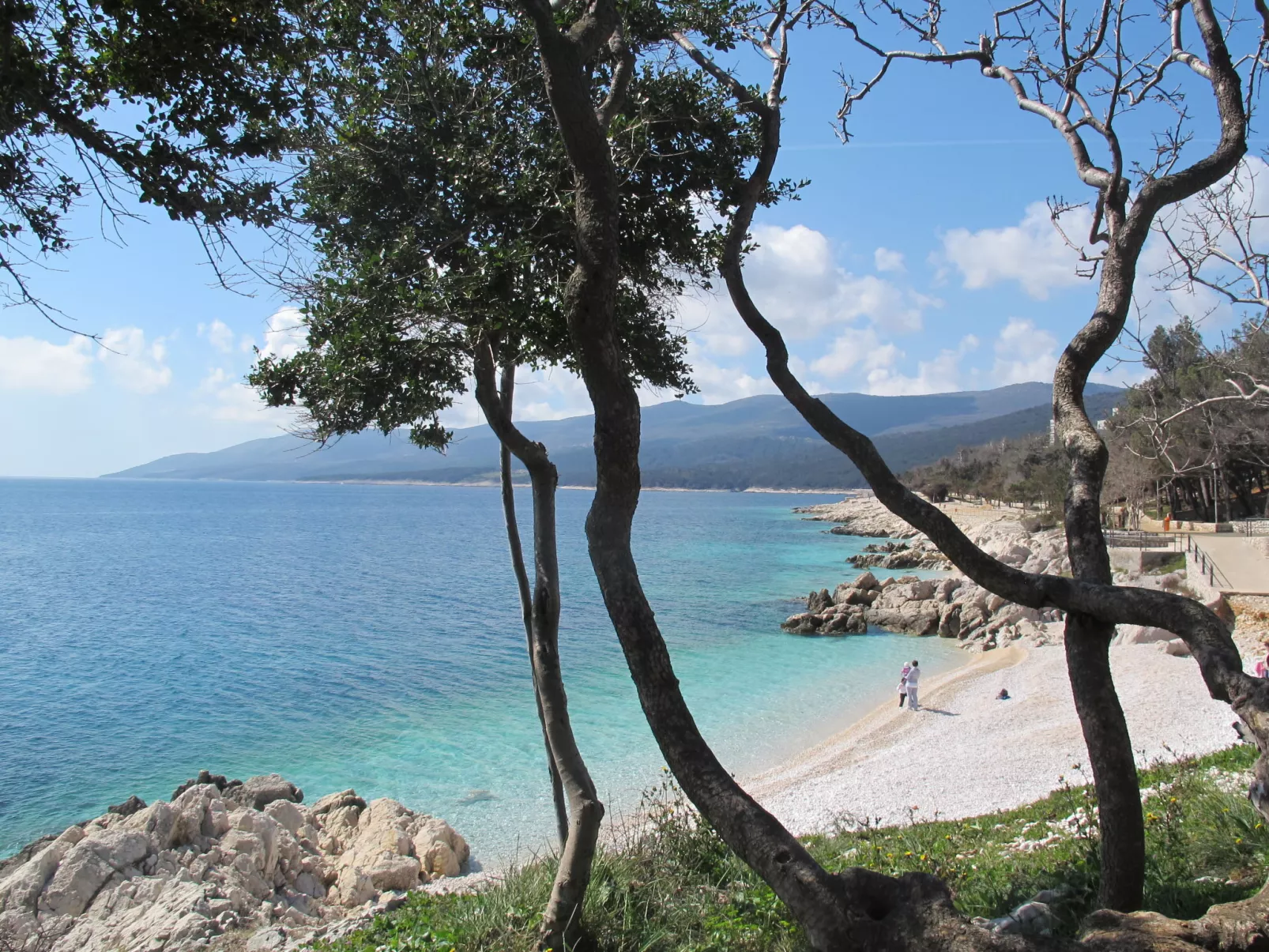 Marija-Area