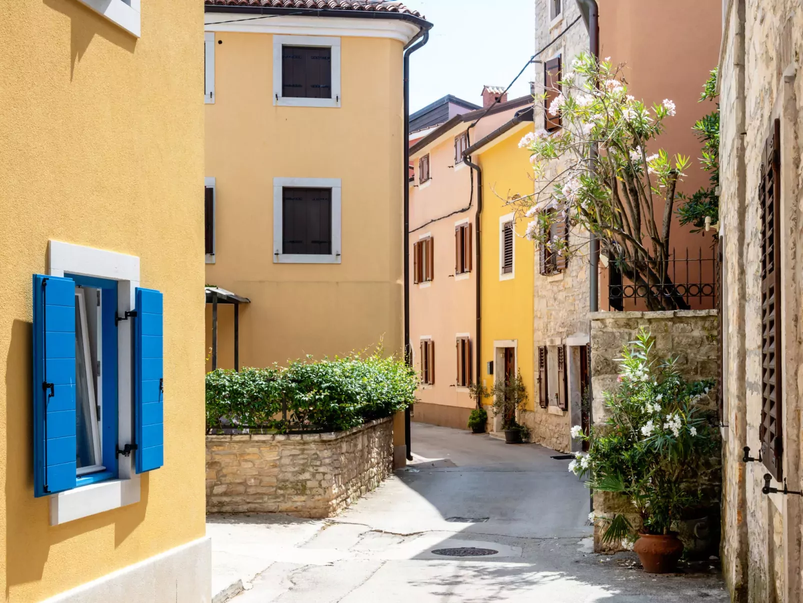 Chiara-Area