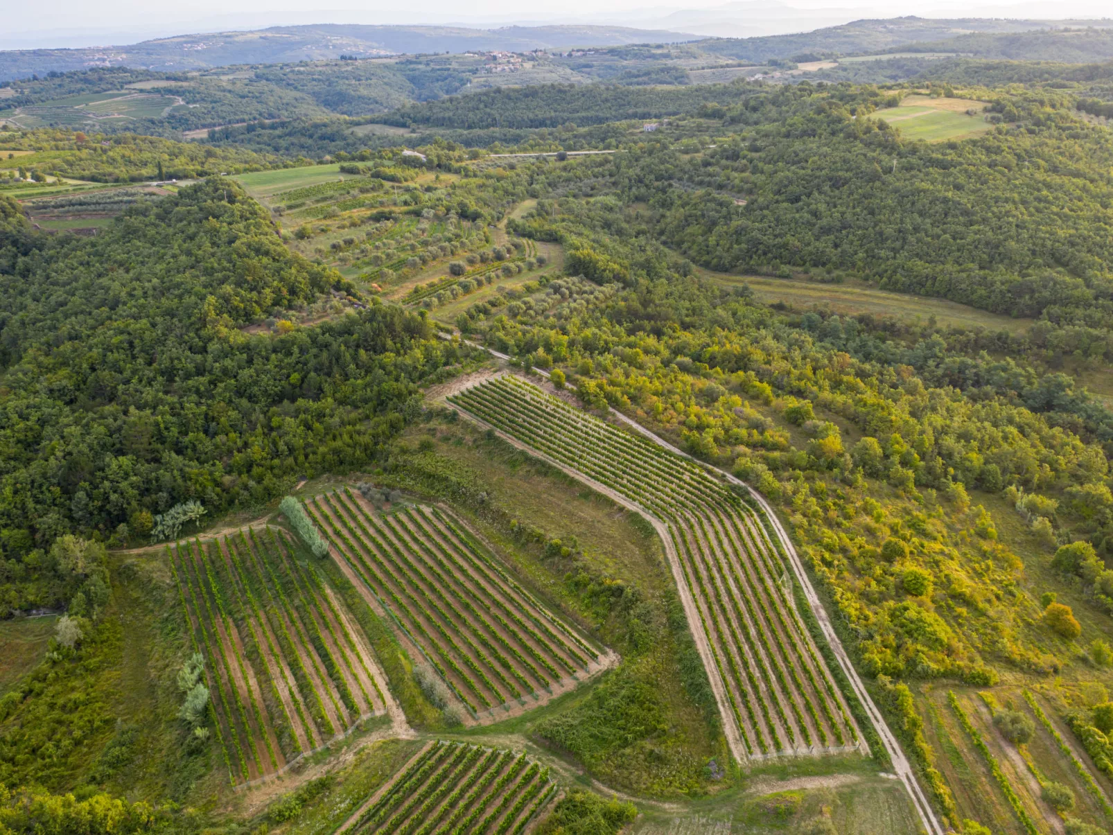 Villa Mirta-Environnement
