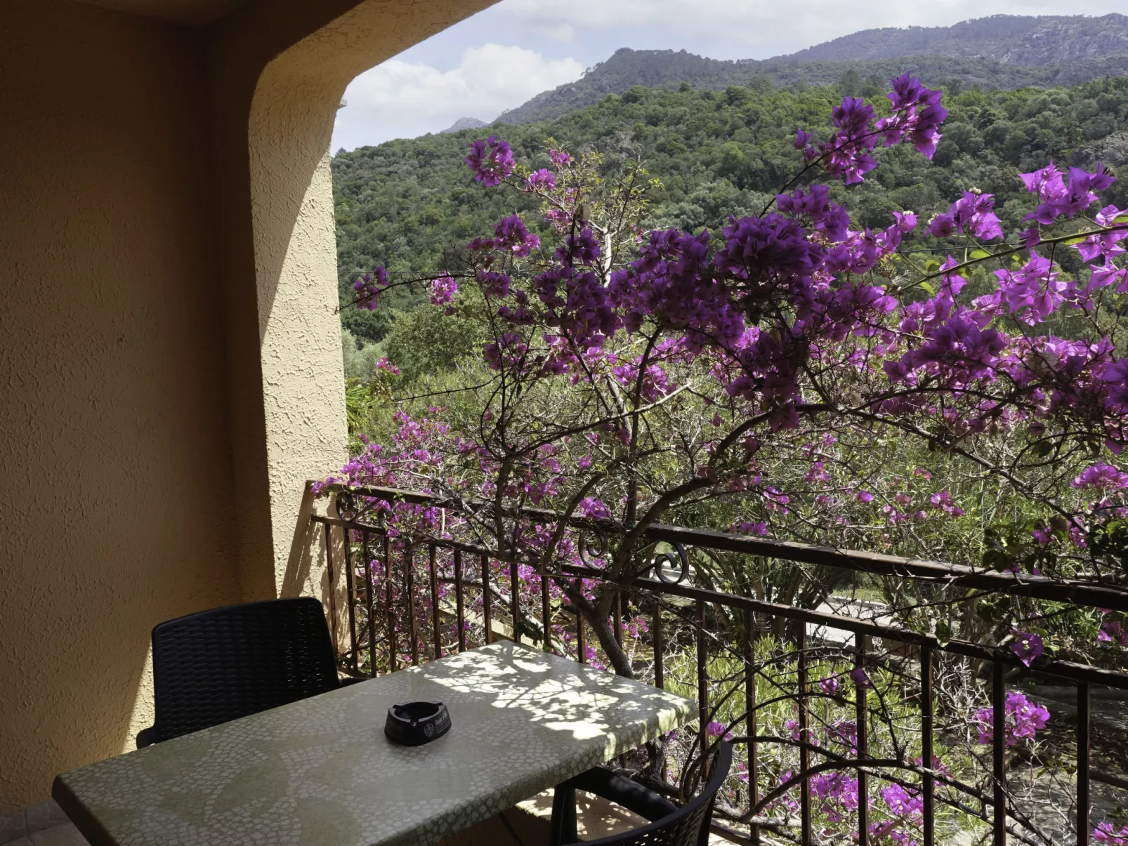Residence Cabanaccia Studio 35m²