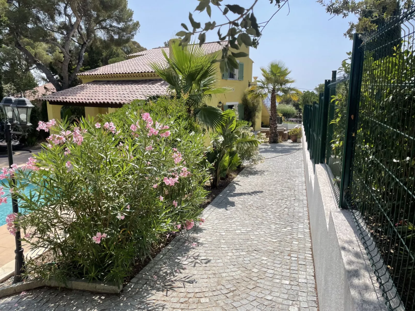 La Scarlett 2-Outside