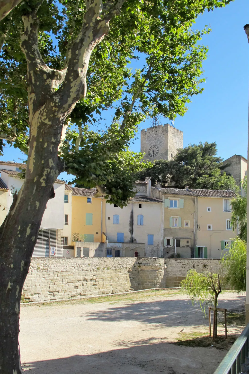L' amandier-Area