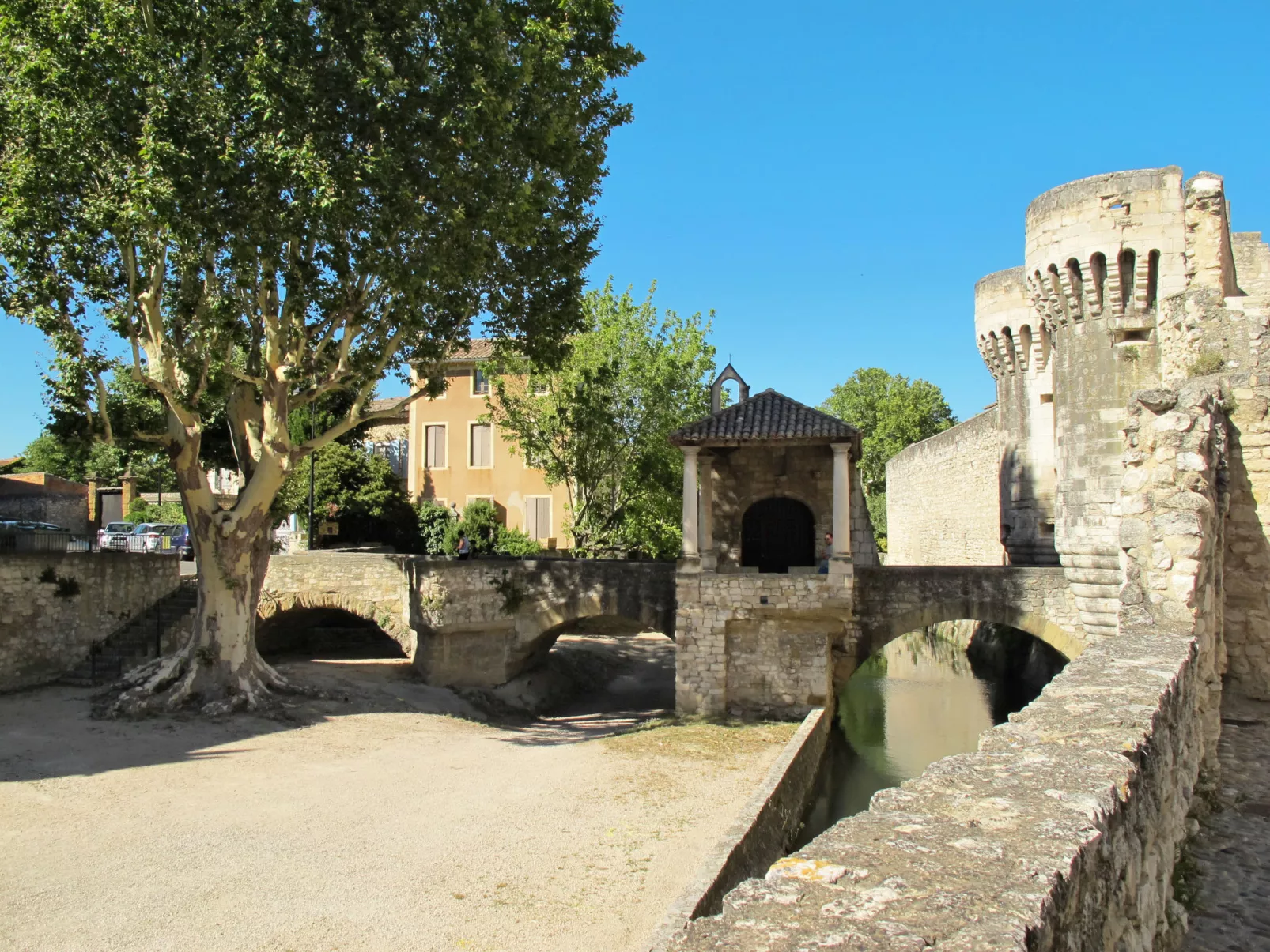 L' amandier-Area