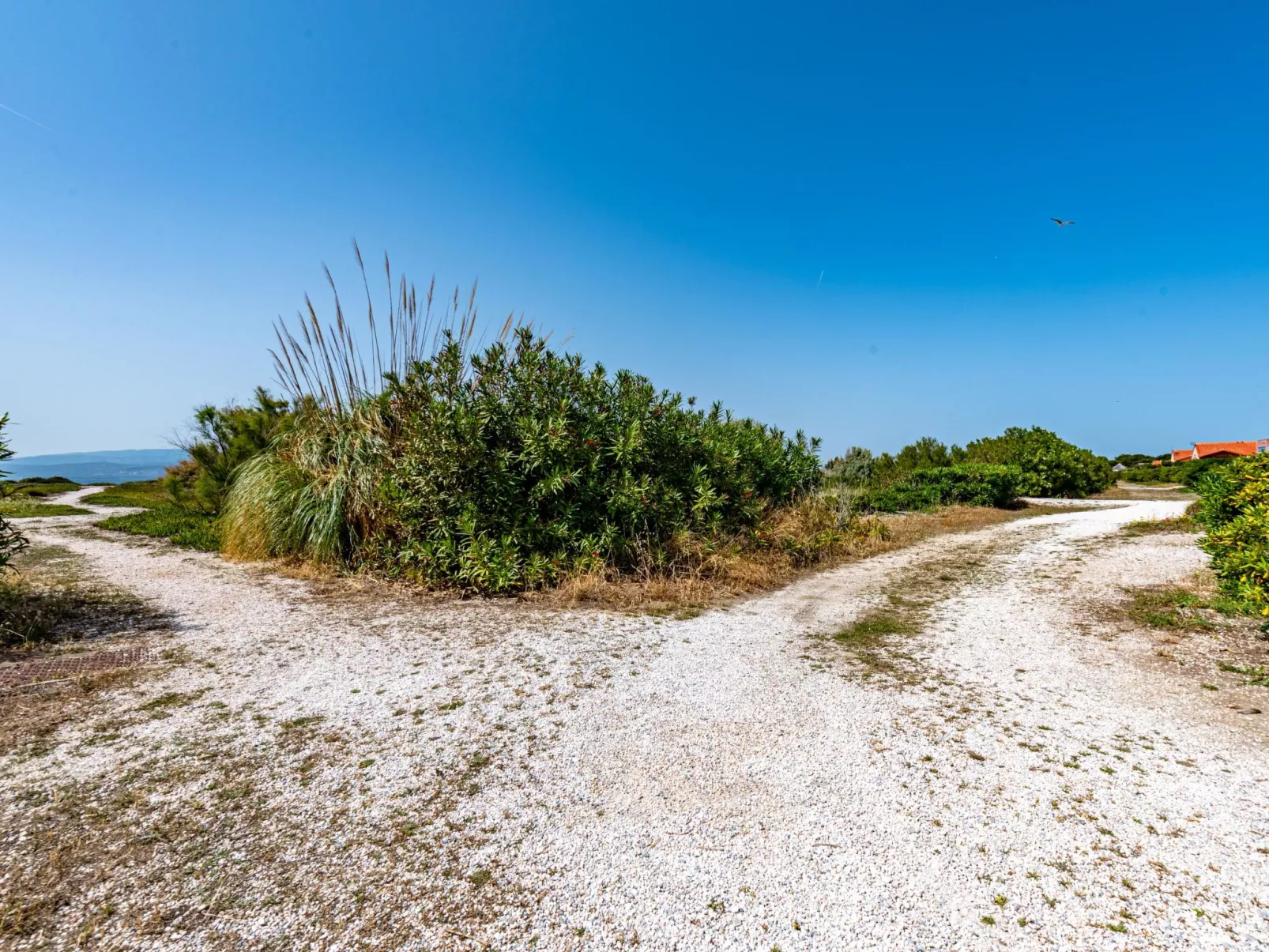 Front de Mer-Area