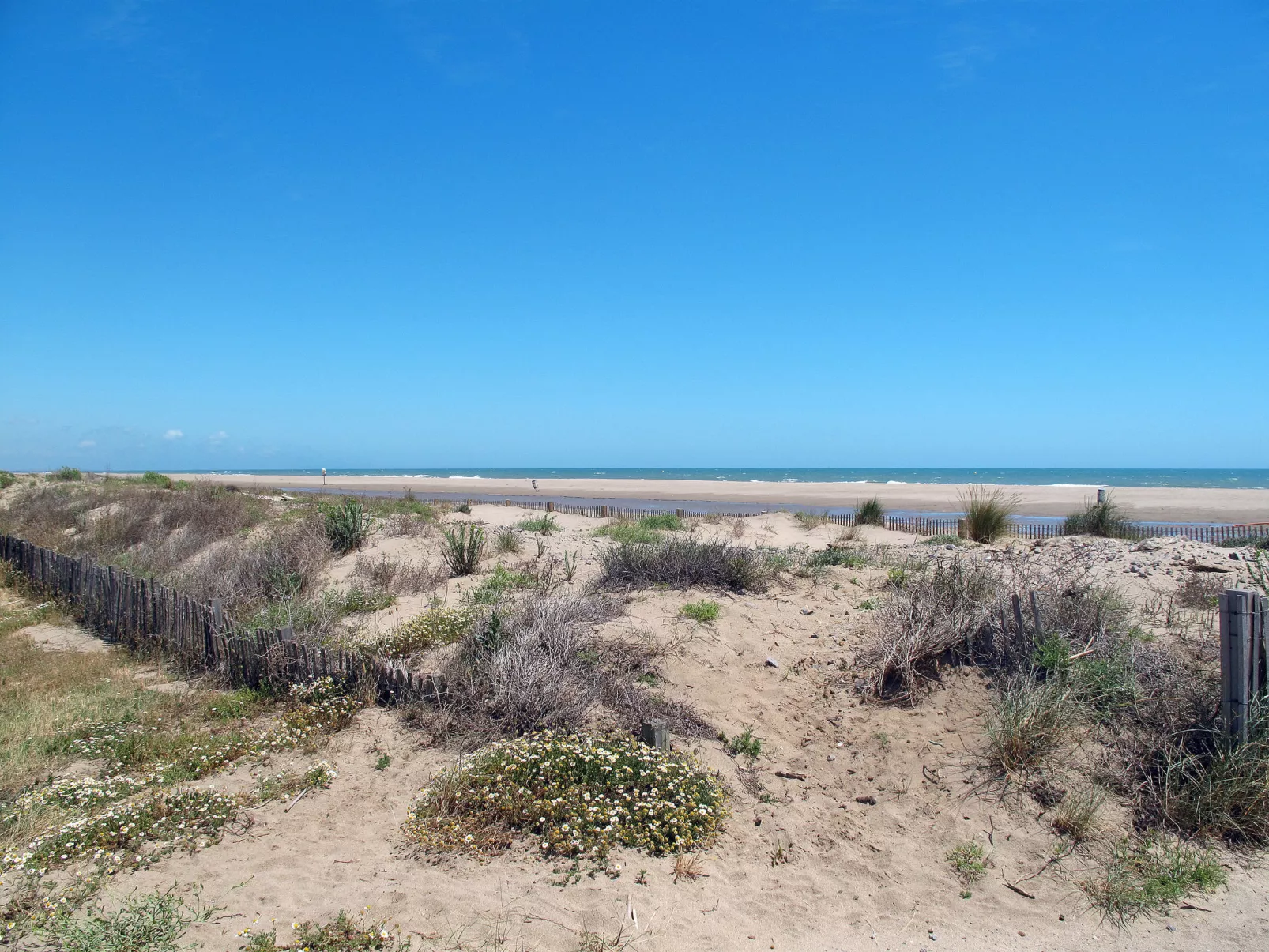 Le Neptune-Area