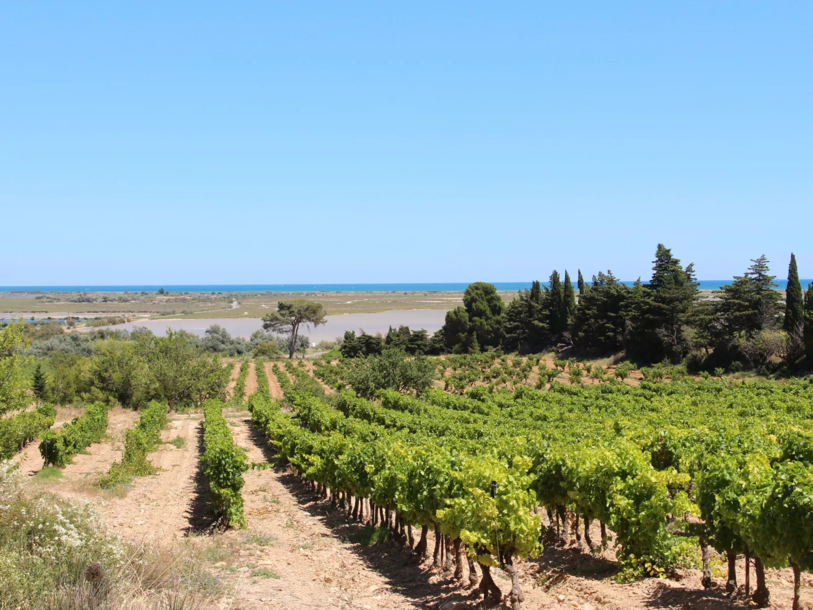 Le Neptune-Area