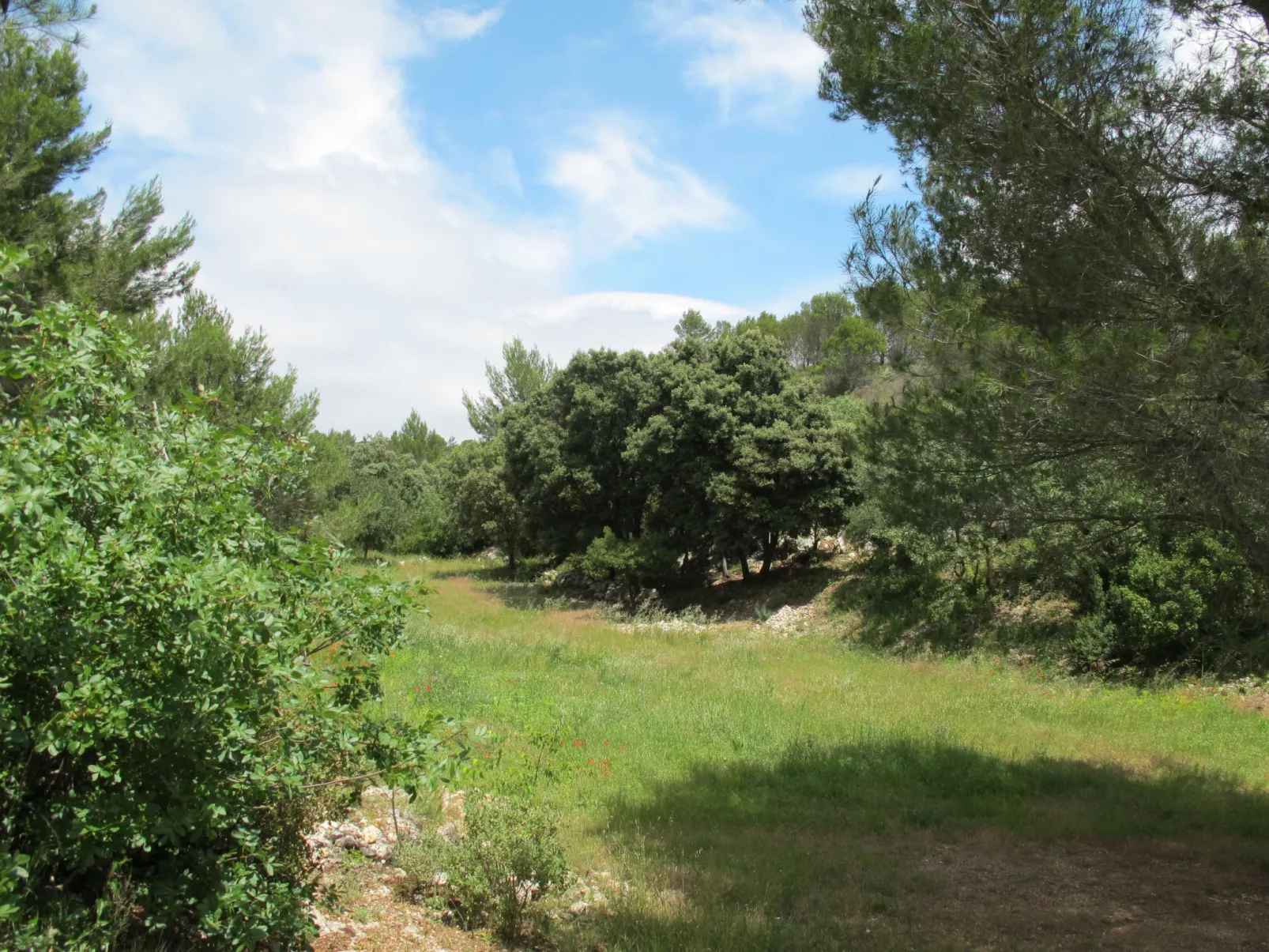 Les Garrigues d'Ozilhan-Outside