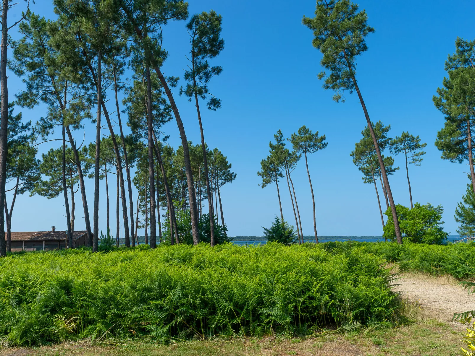 Les Cottages du Lac T3 Premium-Outside