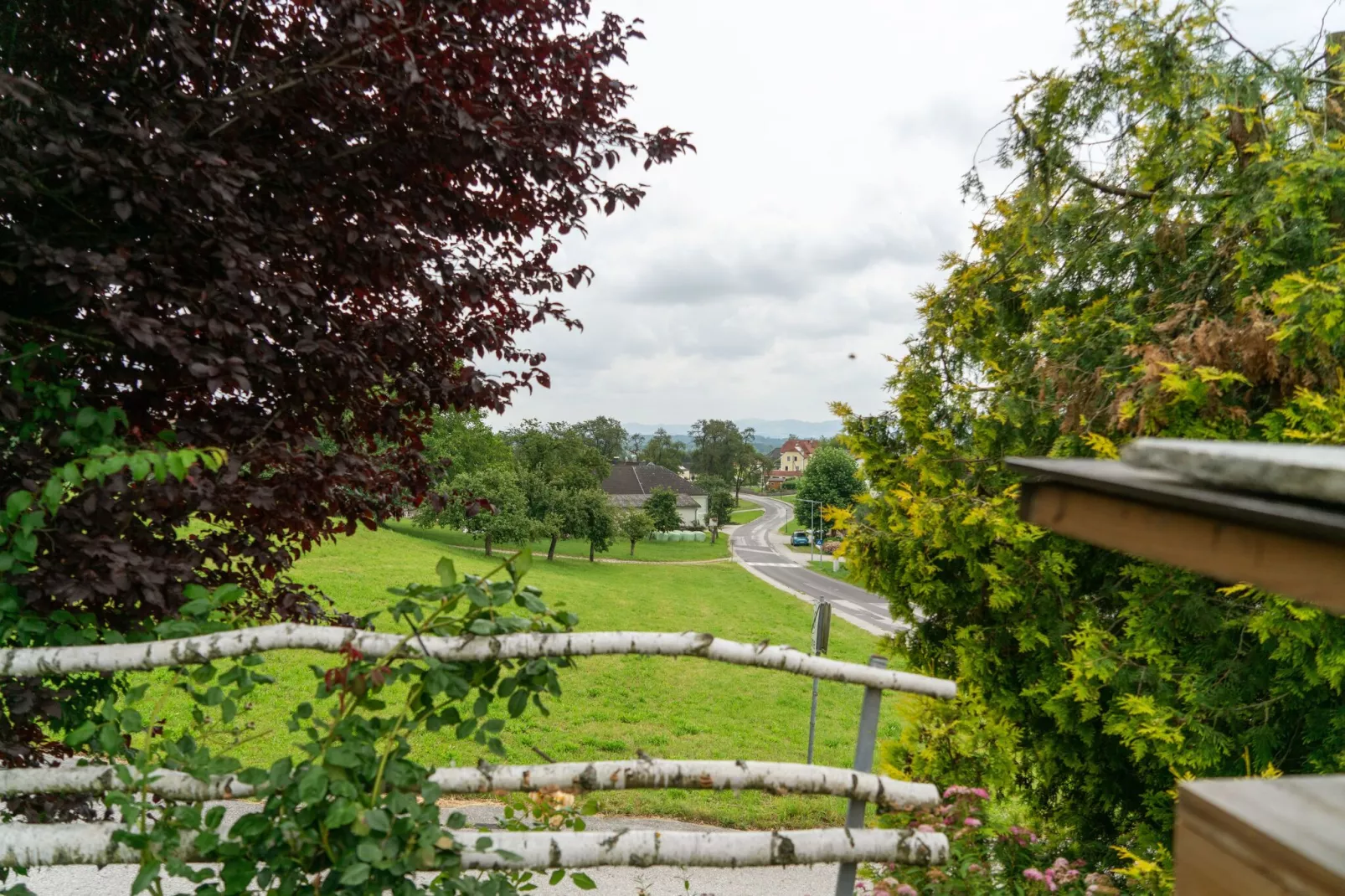 Haabergstrasse 20-Vue d'été