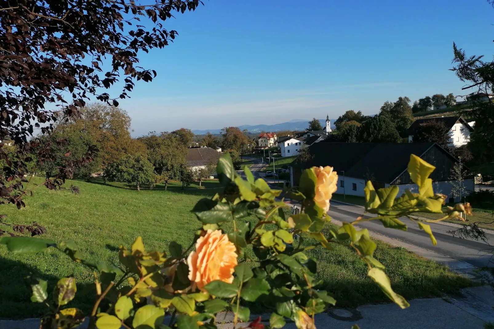 Haabergstrasse 20-Vue d'été