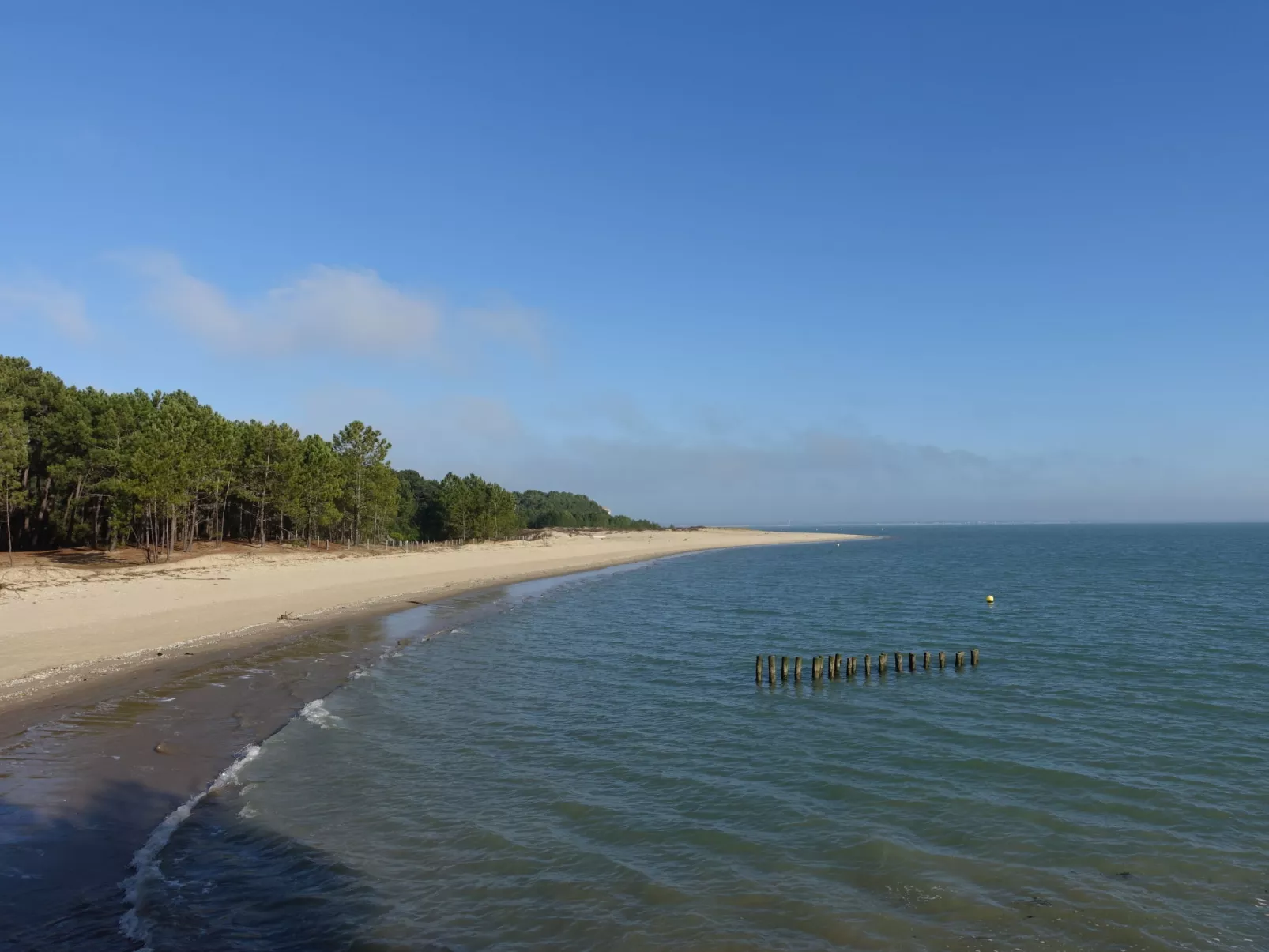 Horizon-Area