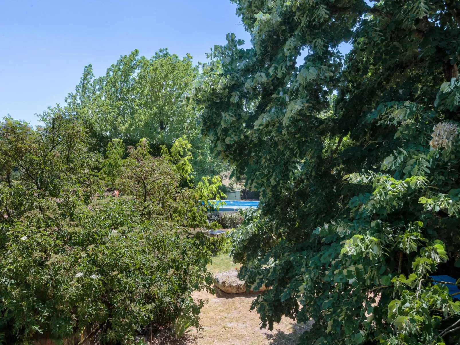 Le Jardin de Timothee-Dehors