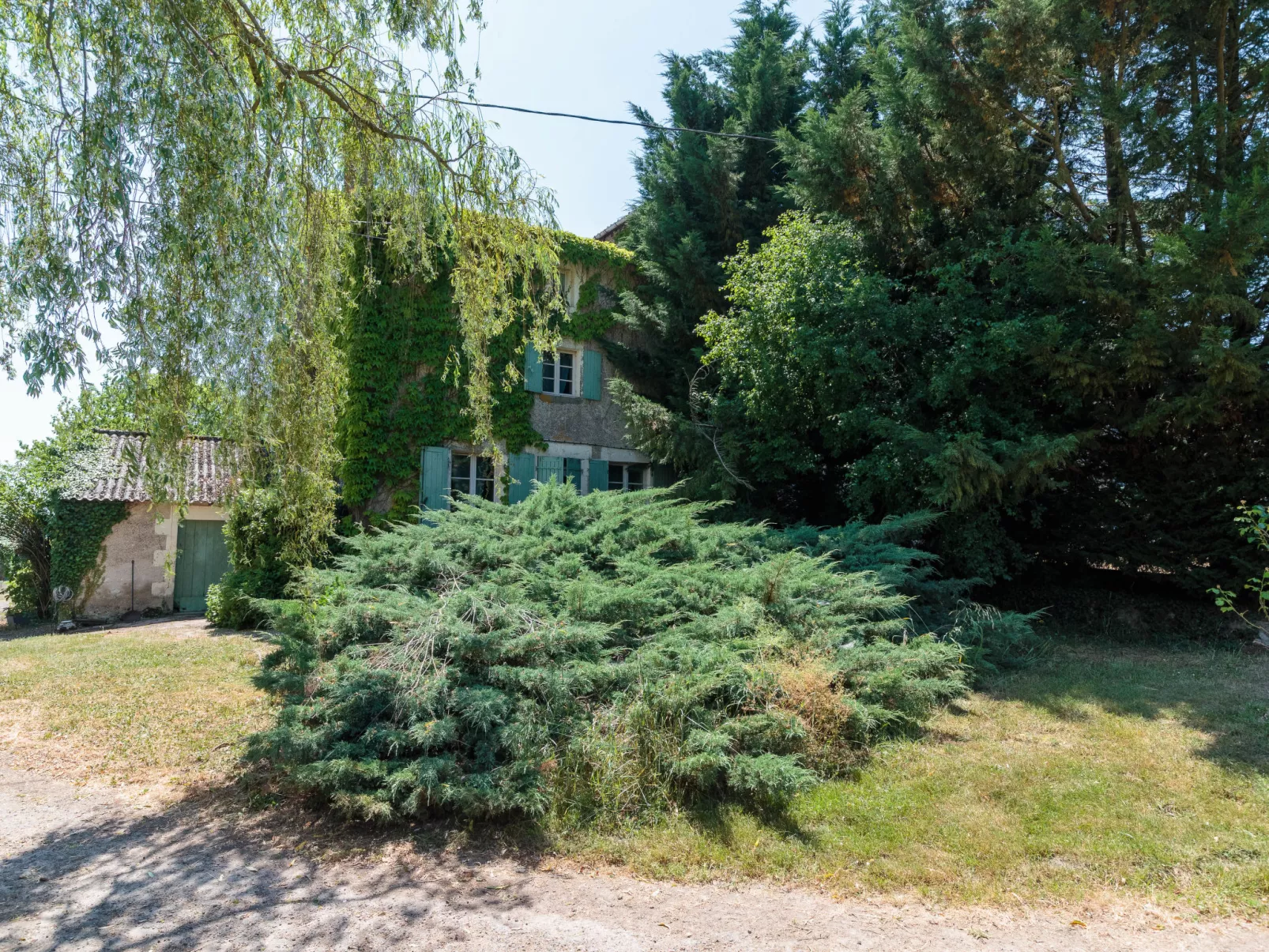 Le Jardin de Timothee-Dehors
