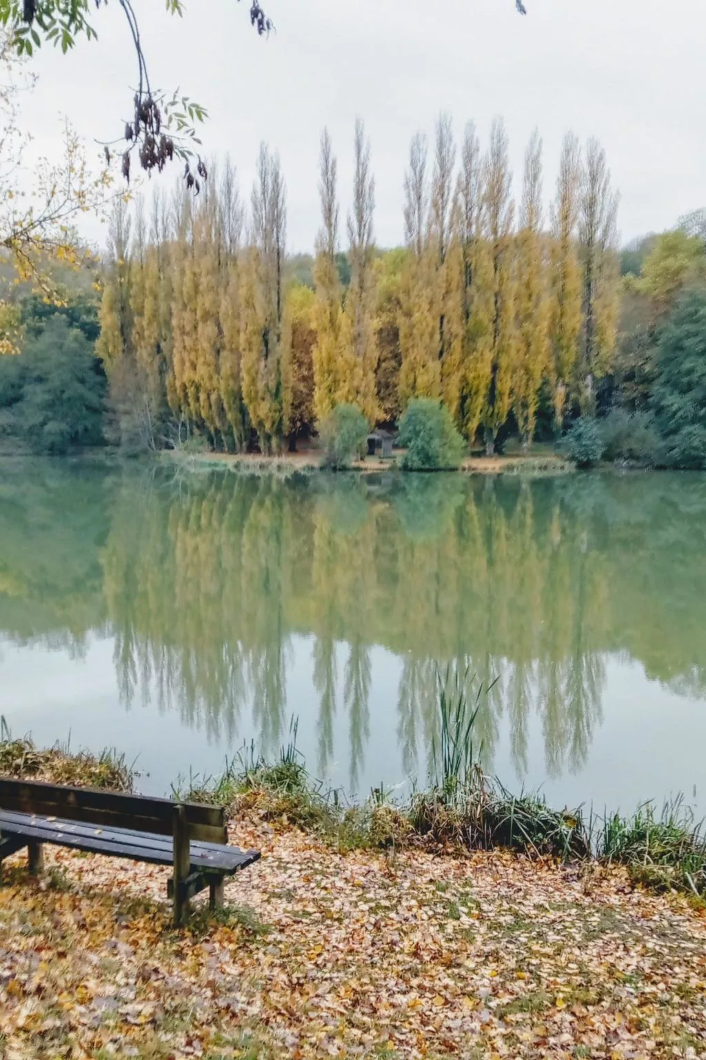 Le Domaine du Lambon-Outside
